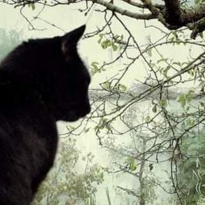 Meet your Posher, Kristina